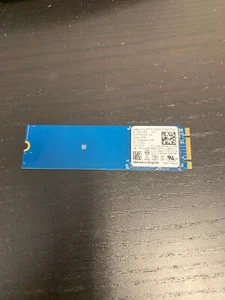 Western Digital 256GB NVMe 2280 80mm SSD SDAPNUW-256G-1006 SN520 - Afbeelding 1 van 1
