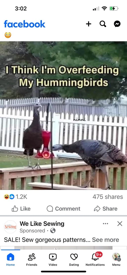 Botas vaqueras para mujer talla 9 Foto 1 de 4