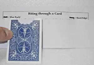 Biting Through A Card Magic Trick - Awesome Close-up Illusion, Street, Strolling - Picture 1 of 4