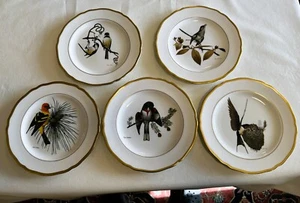 Vtg Spode Ray Harm American Songbird Series Set of 5 Limited Edition - Picture 1 of 8