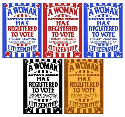1919 VOTE Womens Rights 18th Amendment Voting Constitution Suffrage She Shed Art
