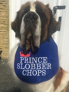 BIG DOG NEWFOUNDLAND ST BERNARD BERNESE OLD ENGLISH MASTIFFS SLOBBER BIB - Picture 1 of 2