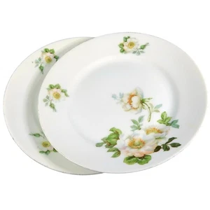 Koenigszelt Silesia Germany Wild Roses Set of 2 Vintage 1920s Dessert Plates - Picture 1 of 6