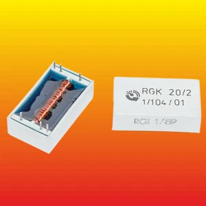 RELÉ DE CAÑA ELECTROMAGNÉTICO RGK20/2 12VDC 60VDC/0.3A DPST-NO - Imagen 1 de 3