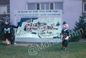University of Maine Homecoming 1965 Schwarzbär Maskottchen Bananen T Bär 35 mm Dia - Bild 1 von 3