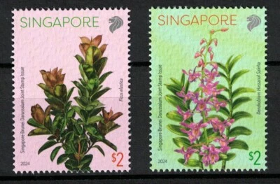 SINGAPORE 2024 BRUNEI JOINT ISSUE (ORCHID) COMP. SET OF 2 STAMPS IN MINT MNH - Image 1 of 3