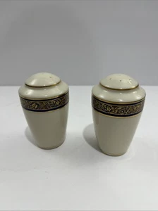 RARE! LENOX CHINA DISCONTINUED BARCLAY PATTERN Salt And Pepper Shakers Set - Picture 1 of 8