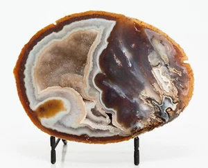 Achat Geode halbe Platte Scheibe oval natürlich Kristall Quarz Dekor XL 2,24 Pfund H2202 - Bild 1 von 12