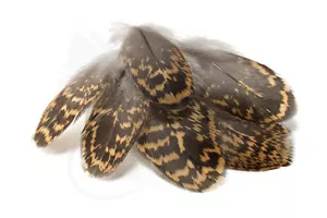 DURHAM RANGER TRADE Grouse Hackles 2 grams 5 PACKS - Picture 1 of 1