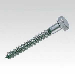 Tirafondo cabeza hexagonal INOX A4 Din571 M10x120 (2 unidades) - Imagen 1 de 1
