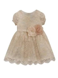 Rare Editions Champagne Silver Floral Lace Dress Set 24 Months - Picture 1 of 1
