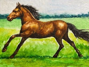 Watercolor Painting Running Horse Farm Animals Nature ACEO Art . - Picture 1 of 2