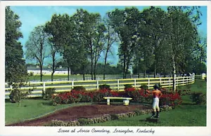 Scena cimitero cavalli Lexington Kentucky cartolina non spedita - Foto 1 di 2