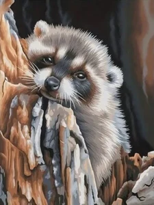DIY 5D Baby Raccoon Diamond Art Painting Set, Craft Wall Art Decor 30x40cm - Picture 1 of 2