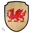 Welsh Shield 34cm by Nemesis Now