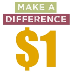 Make Up The Price Difference Of $60 - Picture 1 of 1