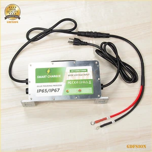 18A 48V Golf Cart Lithium LiFePO4 Battery Trickle Smart Charger Forklift Ship US - Picture 1 of 9