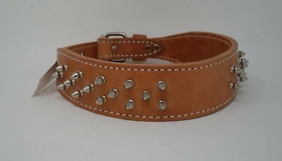 #129K 21" / 2 capas cuello de cuero con púas / marrón 2" placa de identificación de latón cónico libre Foto 1 de 4