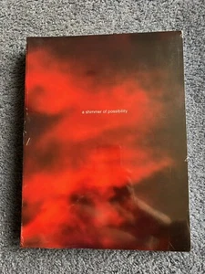 Paul Graham A Shimmer of Possibility 2009 NEW SC Mack - Picture 1 of 1