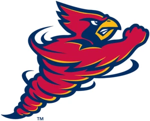 Iowa State Cyclones Vinyl Decal 6 Inch - Picture 1 of 1