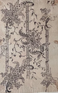 Antique Drawing Original Botanical Flowering Plant, Floral 19th century - Picture 1 of 8