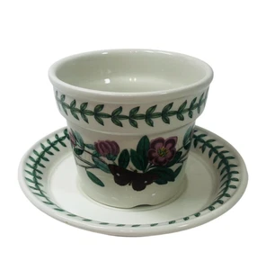 Portmeirion Pomona kleiner Blumen- oder Kräutertopf für Topfpflanze & Untertasse 3,5 Zoll - Bild 1 von 17