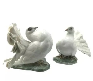 Paar Rosenthal Porzellan Tauben von F. Heidenreich - Bild 1 von 18