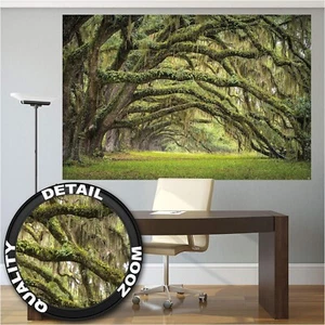 Great Art Mural Poster - Oak Avenue, Summer Forest, Mystic Trees 55"x39.4" - Picture 1 of 9