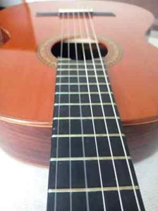 Guitarra Clásica Alhambra 5P, Buen estado, Regalo funda Negra. - Imagen 1 de 5