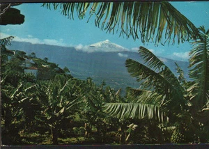POSTAL VALLE DE LA OROTAVA PLATANOS TENERIFE CANARIAS POSTCARD POSTKARTE CC02024 - Picture 1 of 1