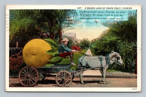 Vintage 1927 Florida Grapefruit Wagen Postkarte von Asheville Post Card Co. - Bild 1 von 2