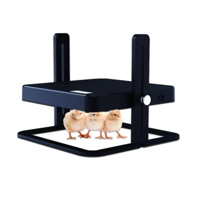 HHD Chick Warmer (Brooding Pavilion) Drawbridge Design - Little Rock, AR SELLER