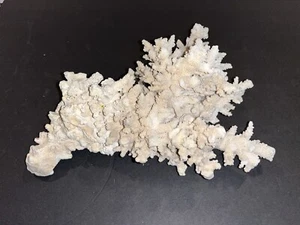 Big Natural Vtg Genuine White Coral Aquarium Decor Beach Coastal Scarce Fish - Picture 1 of 13