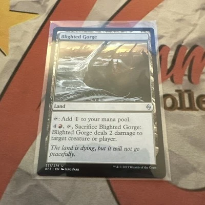 MTG Blighted Gorge Battle for Zendikar Regular #231 - Image 1 of 2