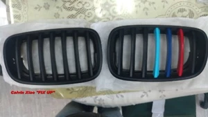 MIT M COLOR NEGRO MATE REJILLA DE RIÑÓN BMW X5/E70 X6/E71 X SERIE 2007-2013 - Imagen 1 de 4