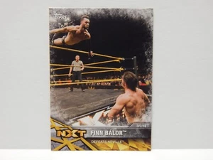 Tarjeta WWE NXT Finn Bálor 22 - Imagen 1 de 2