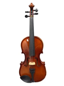 Violino altre marche VS-1 1 4 Carlo Giordano custodia semirigida_Arco_Ganascia usato - Foto 1 di 7