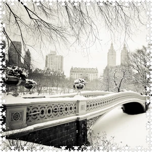 Winter's Touch - Central Park (407 Piece Wooden Jigsaw Puzzle) Extra Difficult - Picture 1 of 8