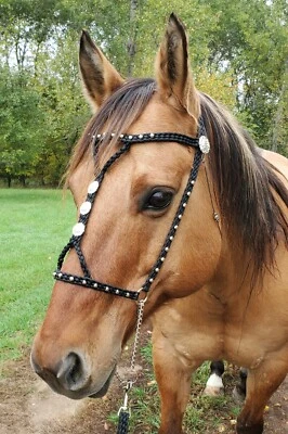 Hand Braided Show Halter/lead Browband, Bling Conchos, Horse Tack, Arabian etc. - Image 1 of 4