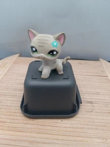 LPS #483 LITTLEST PETSHOP ORIGINAL AUTÉNTICO CHAT EUROPEO GATO HASBRO - Imagen 1 de 15