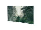 Glasbilder Wandbild Druck auf Glas Tropischer Palmenwald 100x60 cm