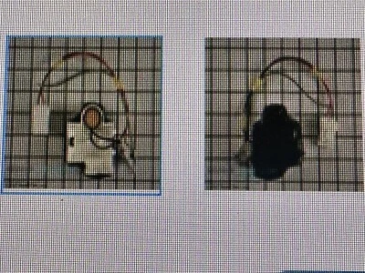 LG Refrigerator Compressor  Wire Harness EBG60663237 - Image 1 of 2