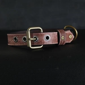 Collar de cuero envejecido para perro. 1 pulgada de ancho. Pernos y ojales. Marrón claro - Imagen 1 de 7