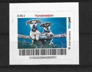 Beaver Post Magdeburg Puppies 1 Value - Picture 1 of 1