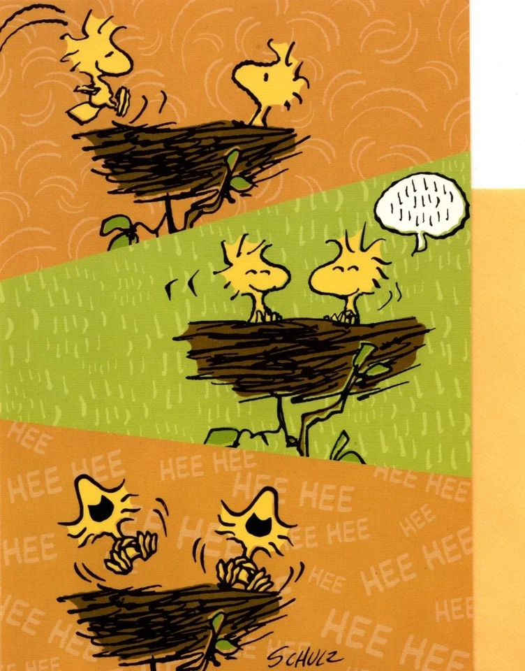 Funny Happy Birthday Tabby Orange Kitty Cat Kitten Revenge Hallmark Card