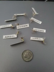 Pale Morning Dun Classic Trout Dry Fly Fishing Flies - 10 Flies - Size 16 - Picture 1 of 5