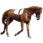 Horse Training Aid Compatible w/ Pessoa Lunging System Equestrian Pony Cob Full