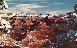 Vintage Postcard 1949 Snow-Covered Pines Rim Grand Canyon National Park Arizona - Picture 1 of 2