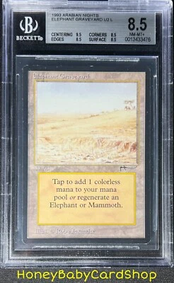 MTG Arabian Nights 1993 Elephant Graveyard BGS 8.5Q+ (Baby Quad+) NM/MT+ 93/94 - Image 1 of 4