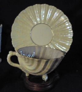 Nautilus Tasse und Untertasse Teetasse Porzellan ohne Chips Glanz XC - Bild 1 von 2